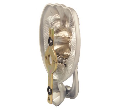 Fab and Fix Premium Satin Lion Head Door Knocker