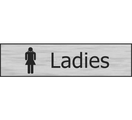 Stainless Steel Effect Ladies Sign