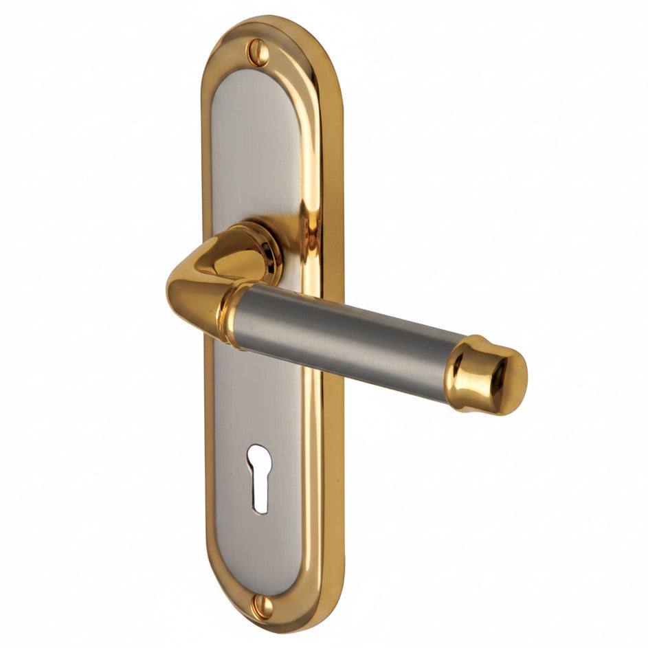 Saturn Straight Lever Dual Finish Keyhole Door Handles