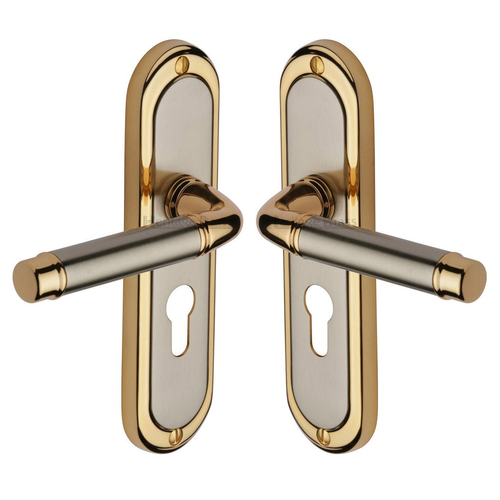 Saturn Straight Lever Dual Finish 48mm Euro Cylinder Door Handles