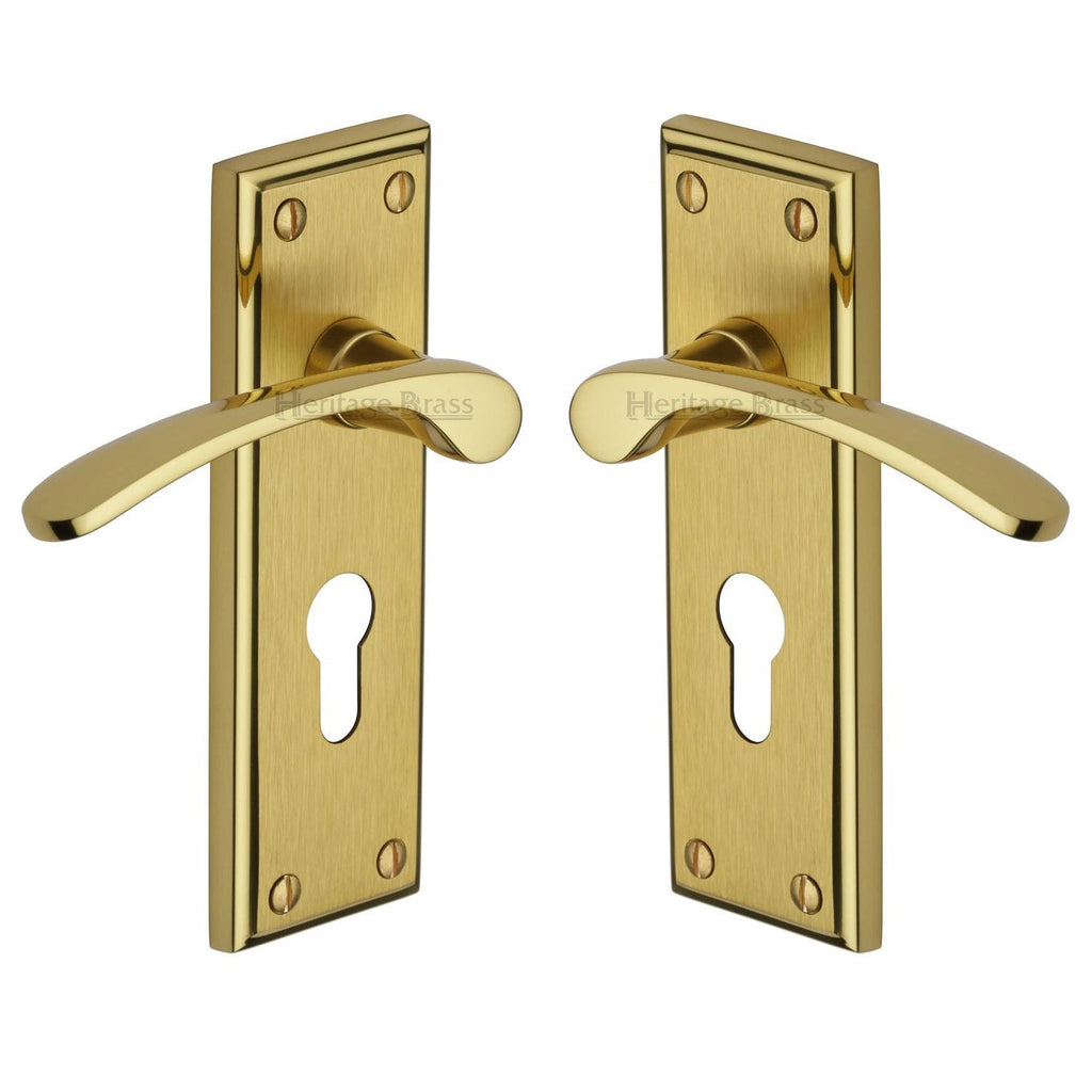 Hilton Curved Lever Dual Finish Brass 48mm Euro Cylinder Door Handles