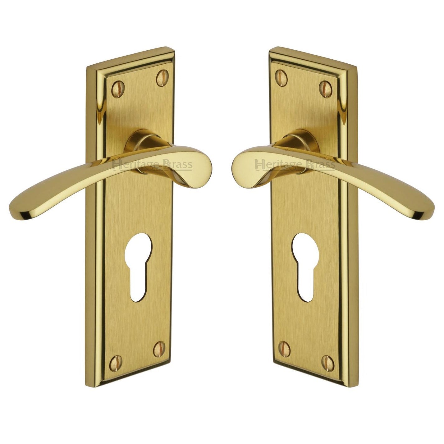 Hilton Curved Lever Dual Finish Brass 48mm Euro Cylinder Door Handles