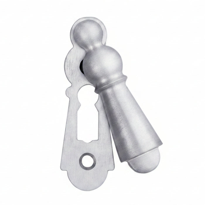 Delamain Large Covered Satin Chrome Escutcheon 73x23mm