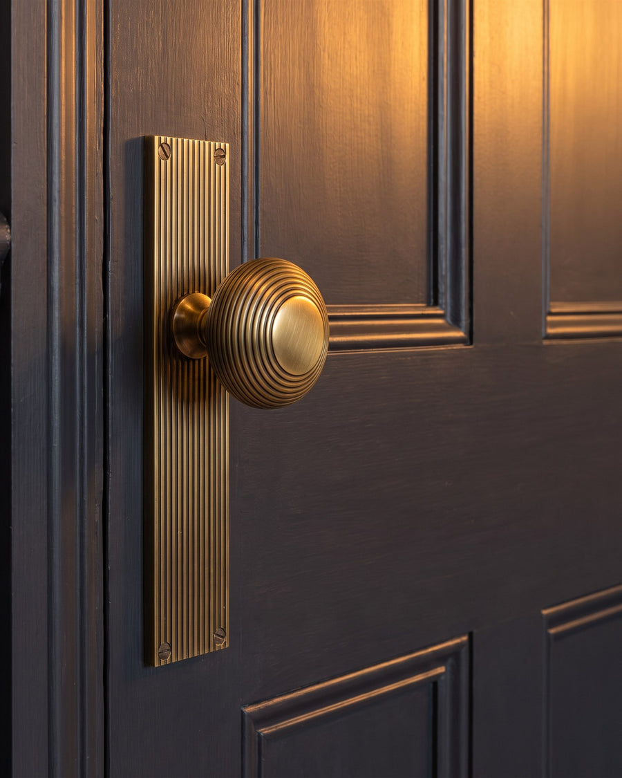 Antique brass beehive knob on a tall reeded latch plate on an off-black panelled door