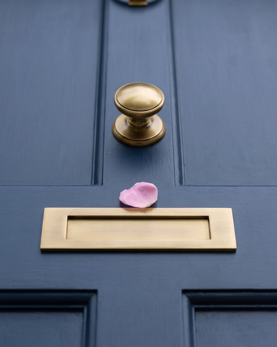 Antique brass round centre knob above a slim antique brass letter plate on a navy door, a pink rose petal resting on the plate