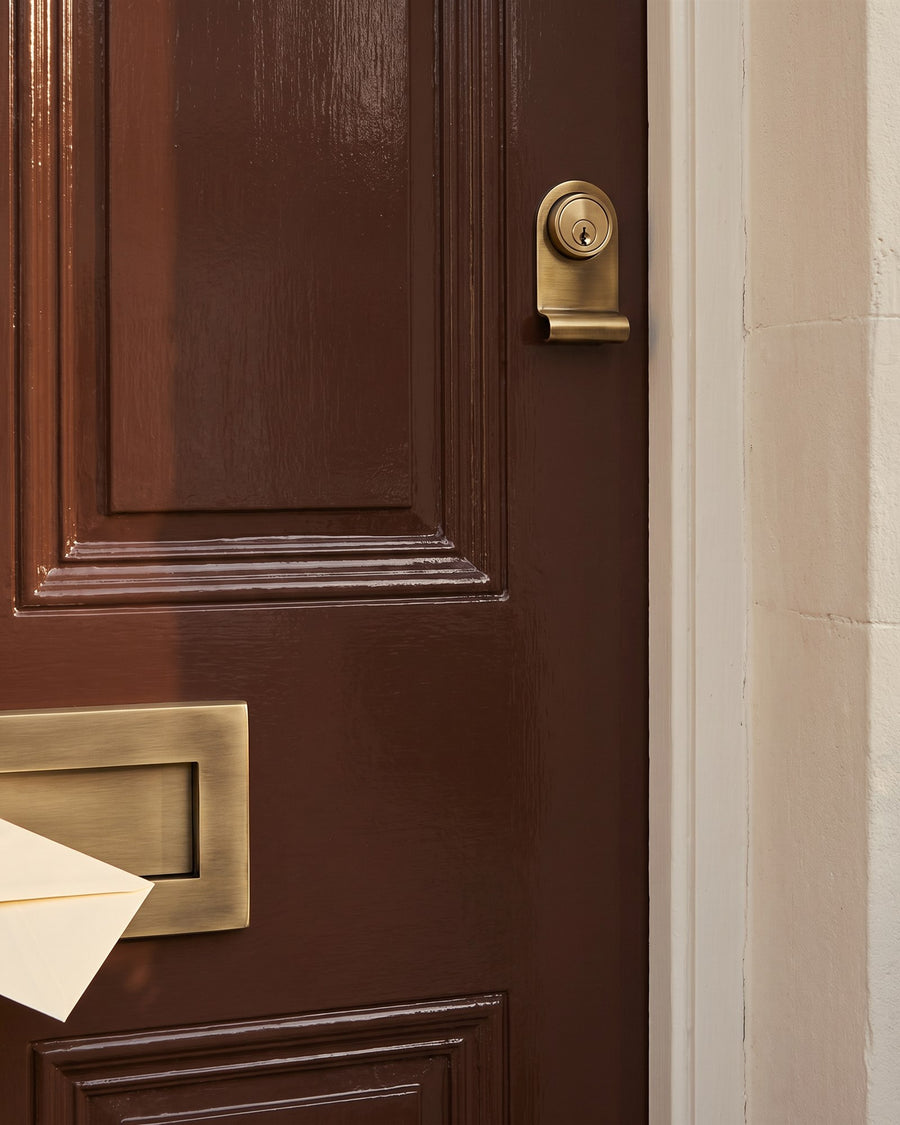 Antique brass cylinder pull and the corner of an antique brass letter box with an envelope on a glossy chocolate brown door