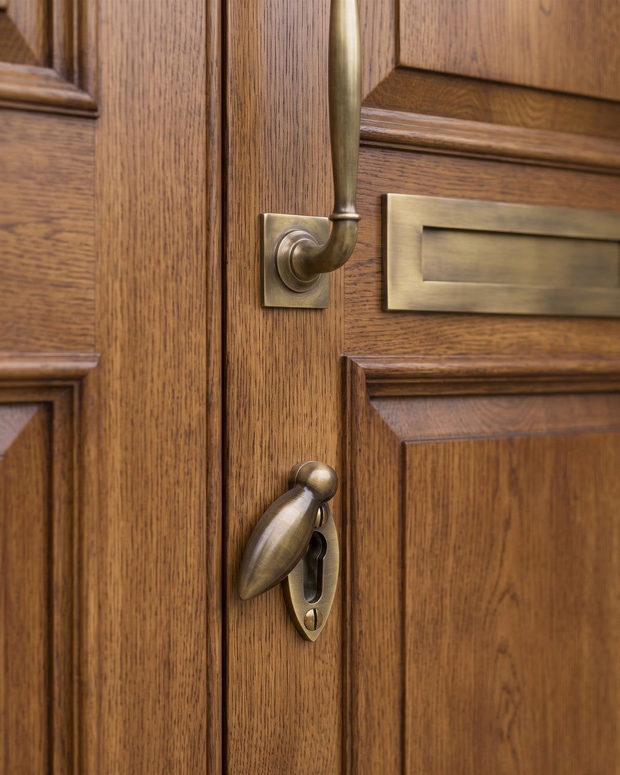 Long antique brass letter plate, the end of a cranked pull and an antique brass covered oval escutcheon on a stained oak door