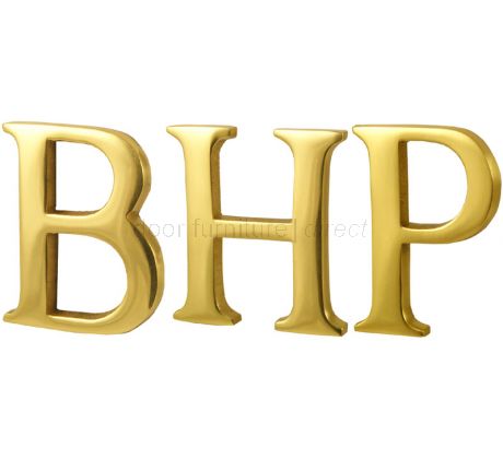 Polished Brass Concealed Fix Front Door Letters A-Z 51mm C1565