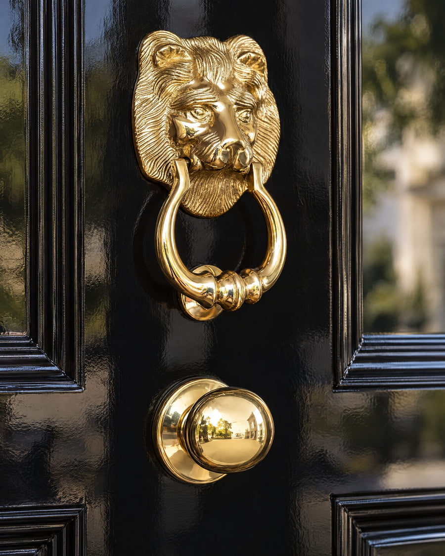 Polished brass lion knocker above a round centre door knob on a gloss black door