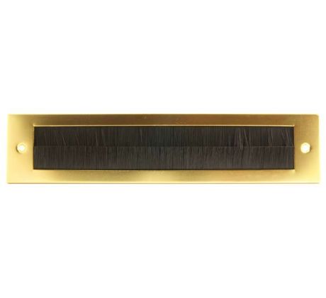 Brush Letterbox Excluder Gold