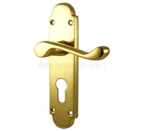 Epsom Polished Brass EURO PROFILE Handles 169x40mm
