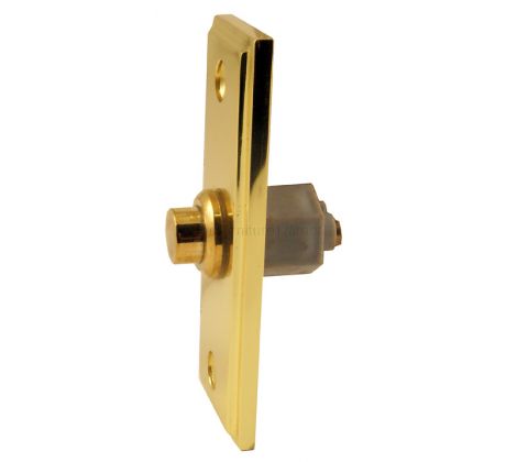 Polished Brass Rectangular Front Door Bell Push 84x33mm