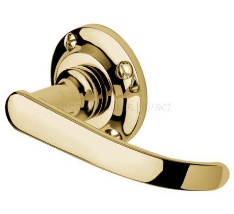 Avon Polished Brass Straight Lever on Rose Set