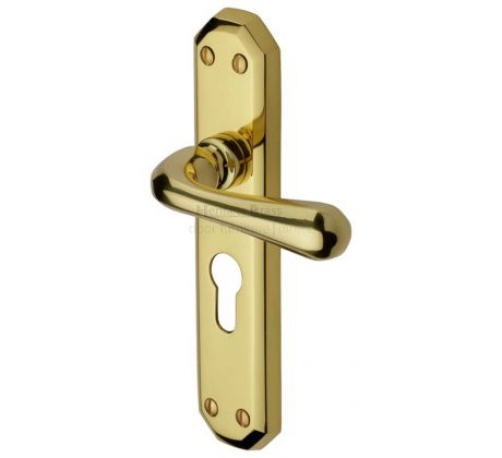 Charlbury Contoured Lever Polished Brass 48mm Euro Door Handles