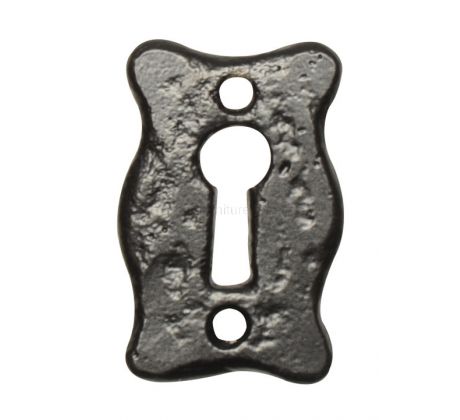 Antique Escutcheon 1501