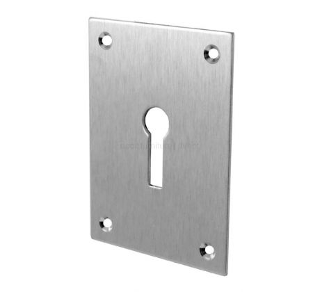 Door Escutcheon Satin Chrome 65.5x47.6mm
