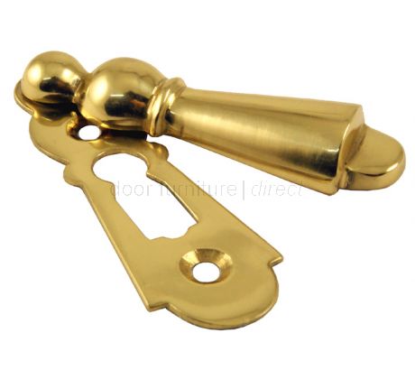 Delamain Large Covered Polished Brass Escutcheon 73x23mm