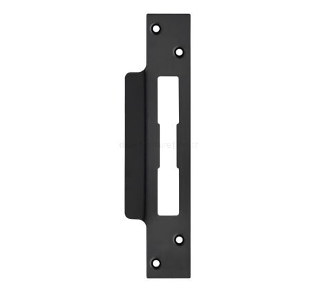 Spare Sashlock Strike Plate and Forend