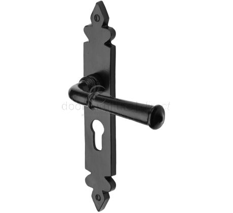 Black Iron Rustic Ludlow Door Handles