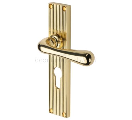 Charlbury Reeded Polished Brass EURO Door Handles RR3048