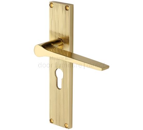 Gio Reeded Polished Brass Euro Door Handles RR4748
