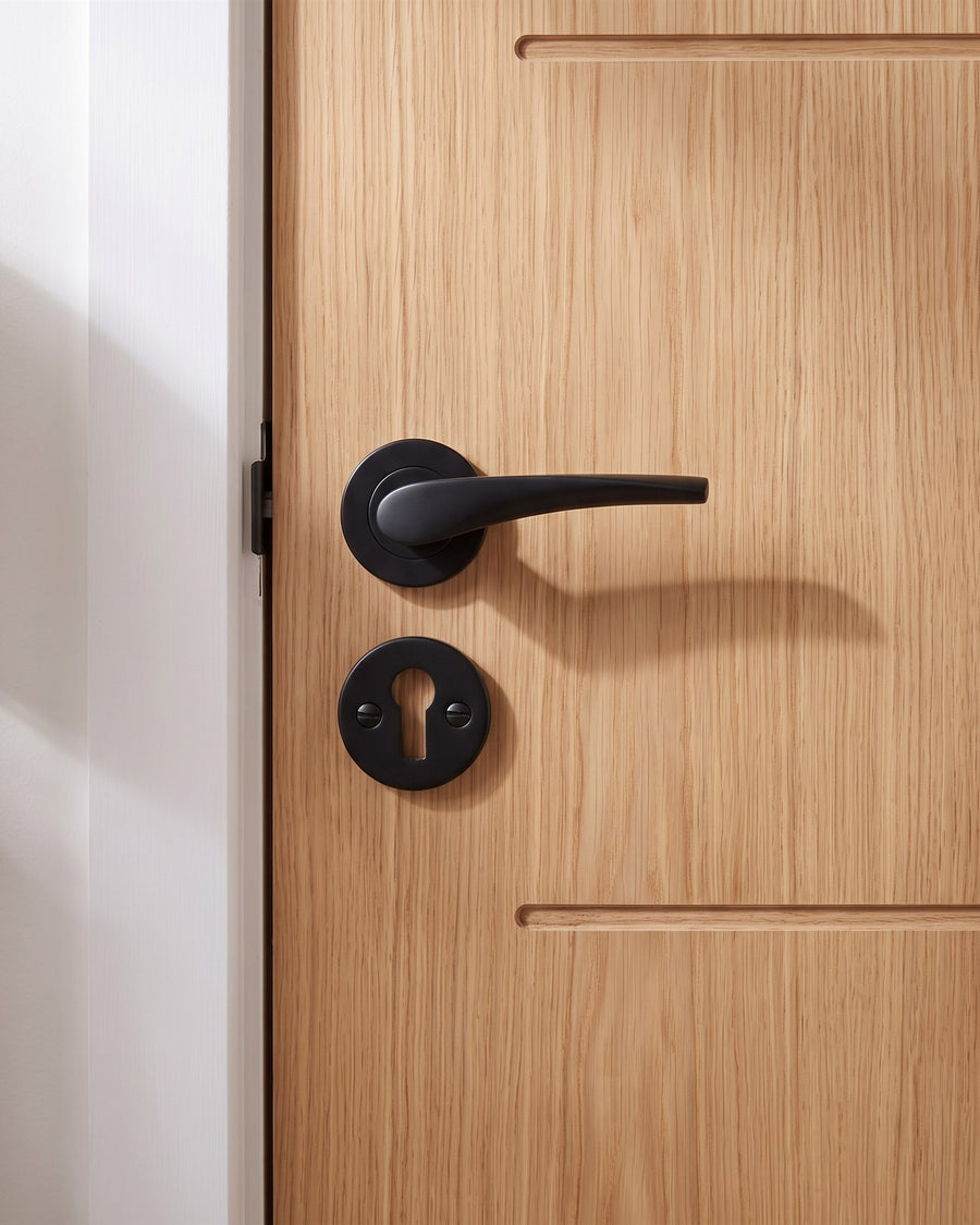 Matt black Vecta lever on rose above a matt black key hole escutcheon on an oak veneer study door