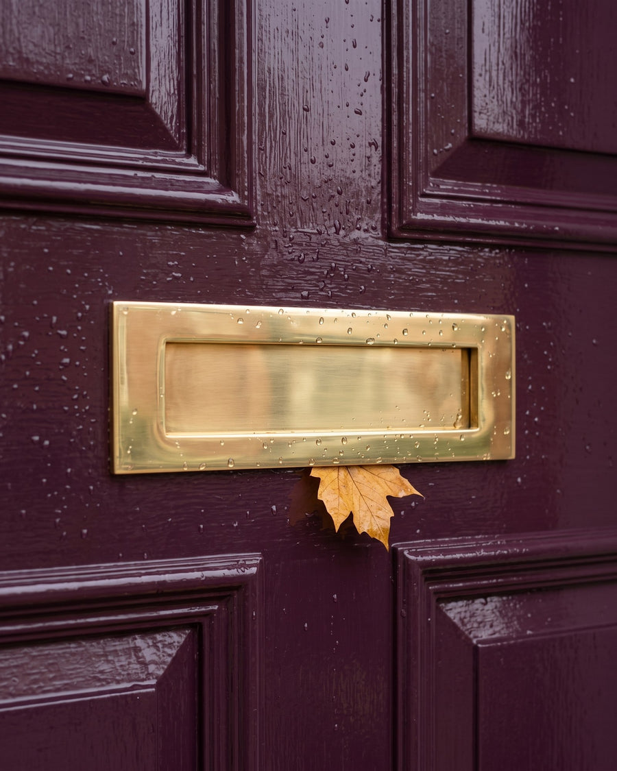 Polished brass letter plate beaded with raindrops on a gloss aubergine door, a golden maple leaf caught beneath it