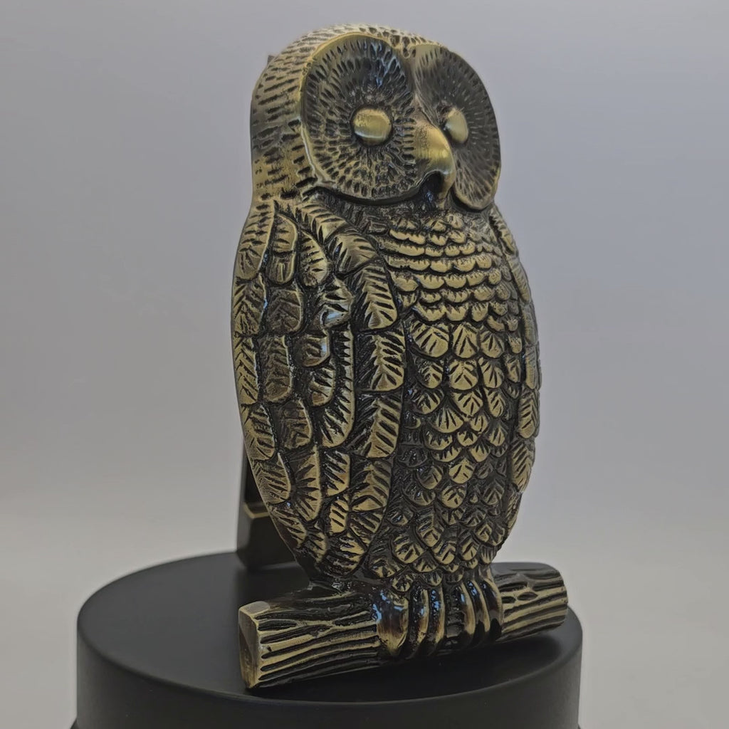 Antique Brass Owl Door Knocker SB4109ANT