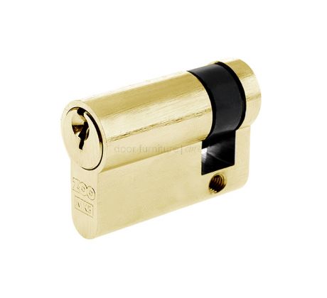 Single Euro Profile Cylinder 5 Pin Keyed to Differ