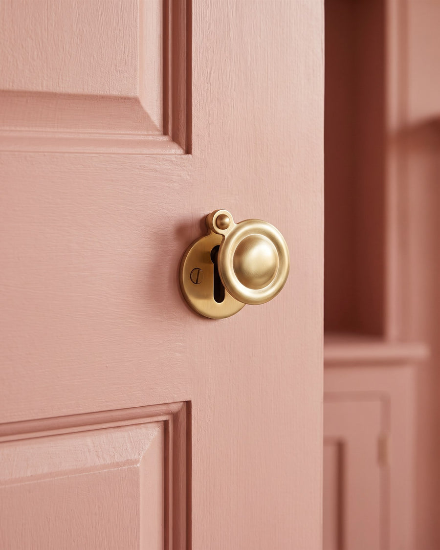 Satin brass covered keyhole escutcheon on a clay pink panelled cupboard door