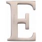 Heritage Satin Nickel Letter E 51mm