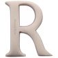 Heritage Satin Nickel Letter R 51mm