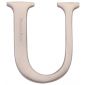 Heritage Satin Nickel Letter U 51mm