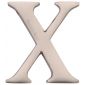 Heritage Satin Nickel Letter X 51mm