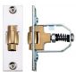 Heavy Duty Adjustable Roller Latch Polished Stainless
