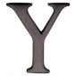 Matt Bronze Letter Y 51mm