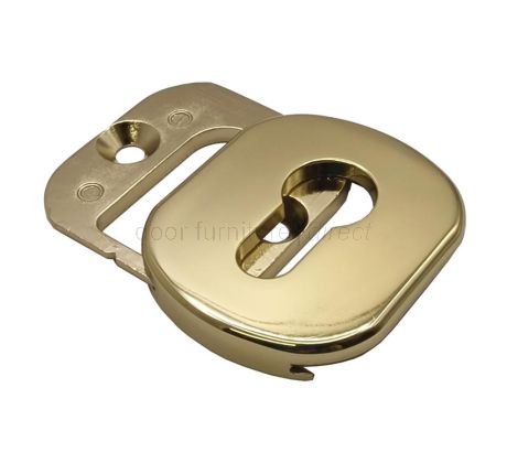 Euro Cylinder Pull and Internal Escutcheon Hardex Gold