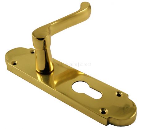 Epsom Polished Brass EURO PROFILE Handles 169x40mm