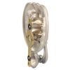 Fab and Fix Premium Satin Lion Head Door Knocker
