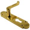 Epsom Polished Brass EURO PROFILE Handles 169x40mm
