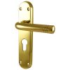 Porto Polished Brass EURO PROFILE Handles 183x40mm