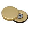 Polished Brass Concealed Bolt Head Cover Plate