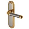 Saturn Straight Lever Dual Finish Latch Door Handles