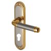 Saturn Straight Lever Dual Finish 48mm Euro Cylinder Door Handles