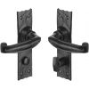 Tudor Wellington Black Antique Iron Bathroom Door Handles