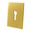 Self Adhesive Jumbo Escutcheon Brassed 45x70mm