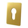 Self Adhesive EURO Escutcheon Brassed 45x70mm
