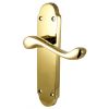 PVD None Tarnish Brass Oakley Latch Door Handles