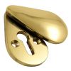 Brass Pear Drop Covered Escutcheon 44x25mm