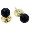 Polished Brass and Ebony Reeded Door Knobs